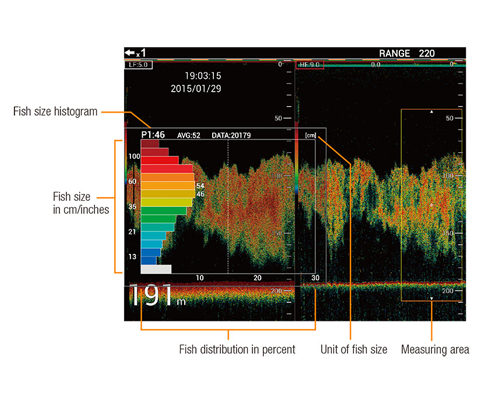 TruEcho CHIRP WITH UNIQUE FISH SIZE INDICATOR Model FCV-1900G